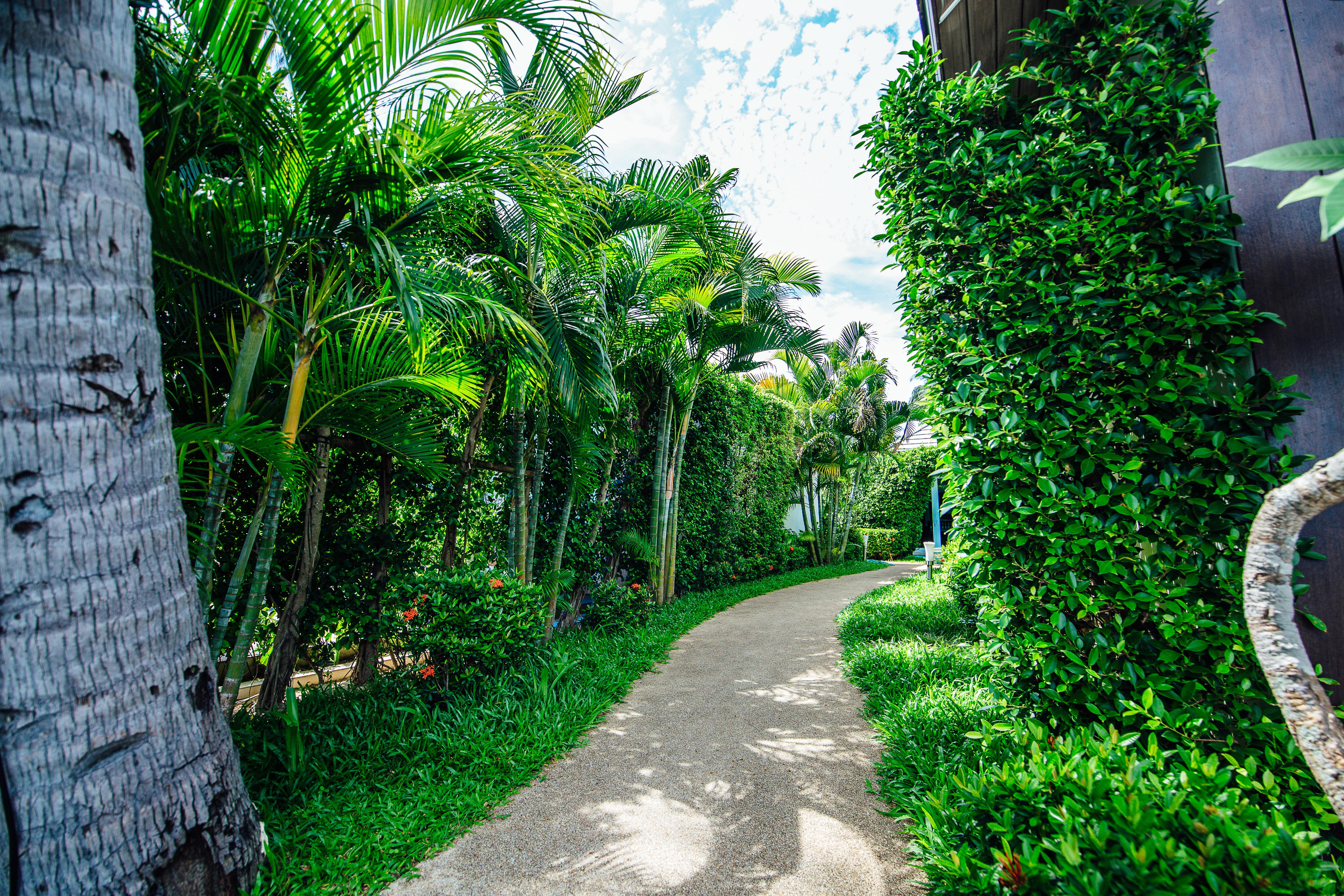 Sea Valley Resort Lipa Noi Luaran gambar